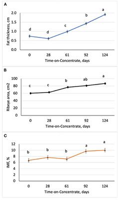 Identification of microRNA Transcriptome Involved in Bovine Intramuscular Fat Deposition